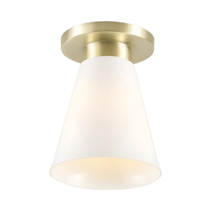 Hector Flowerpot Flush Mount Ceiling Light in Satin Brass.