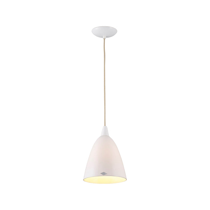 Hector Pendant Light (Large).