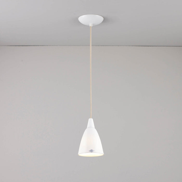 Hector Pendant Light in Detail.