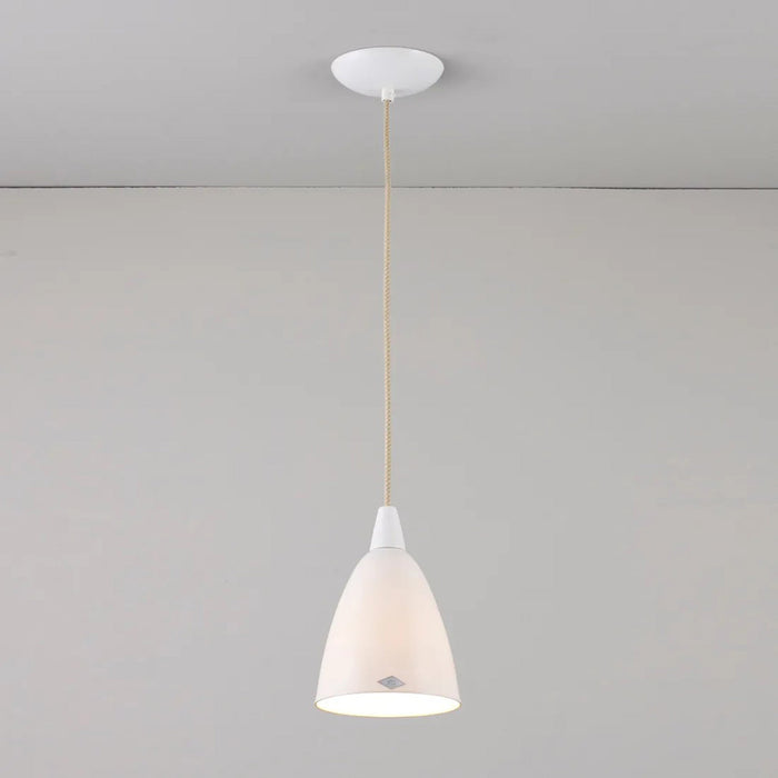 Hector Pendant Light in Detail.