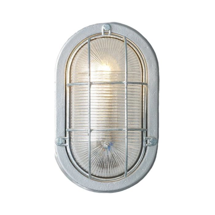 Oval Aluminium Indoor/Outdoor Wall Light in Silver (With Guard).