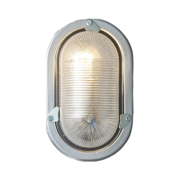 Oval Aluminium Indoor/Outdoor Wall Light in Silver (Without Guard).