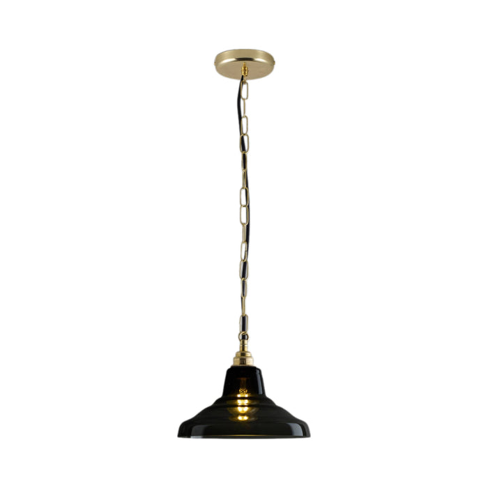 School Pendant Light in Anthracite/Brass (9.75-Inch).