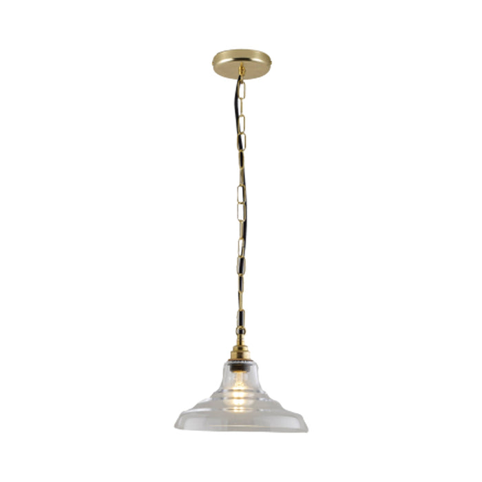 School Pendant Light in Clear/Brass (9.75-Inch).