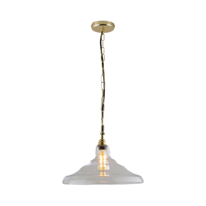 School Pendant Light in Clear/Brass (15.5-Inch).