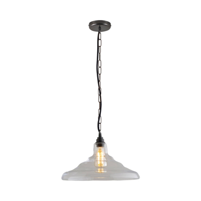 School Pendant Light in Clear/Weathered Brass (15.5-Inch).