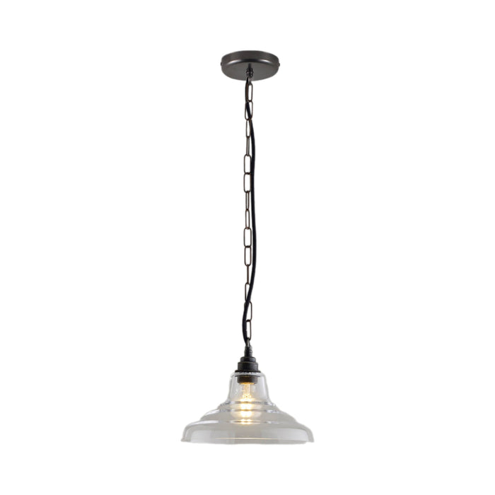 School Pendant Light in Clear/Weathered Brass (9.75-Inch).