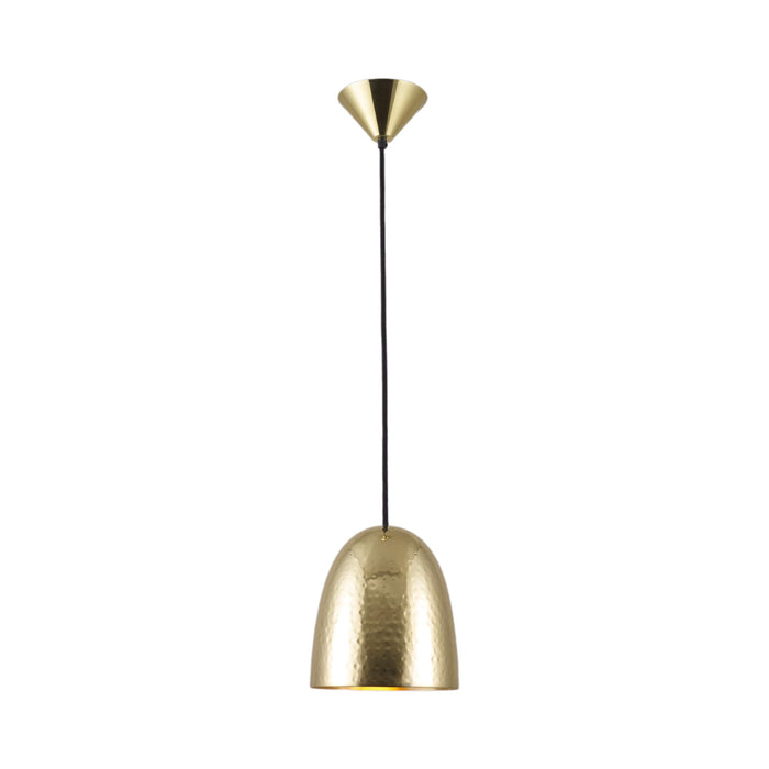 Stanley Pendant Light in Hammered Brass (Small).