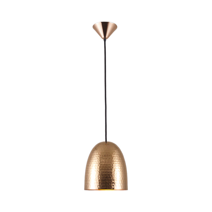 Stanley Pendant Light in Hammered Copper (Small).