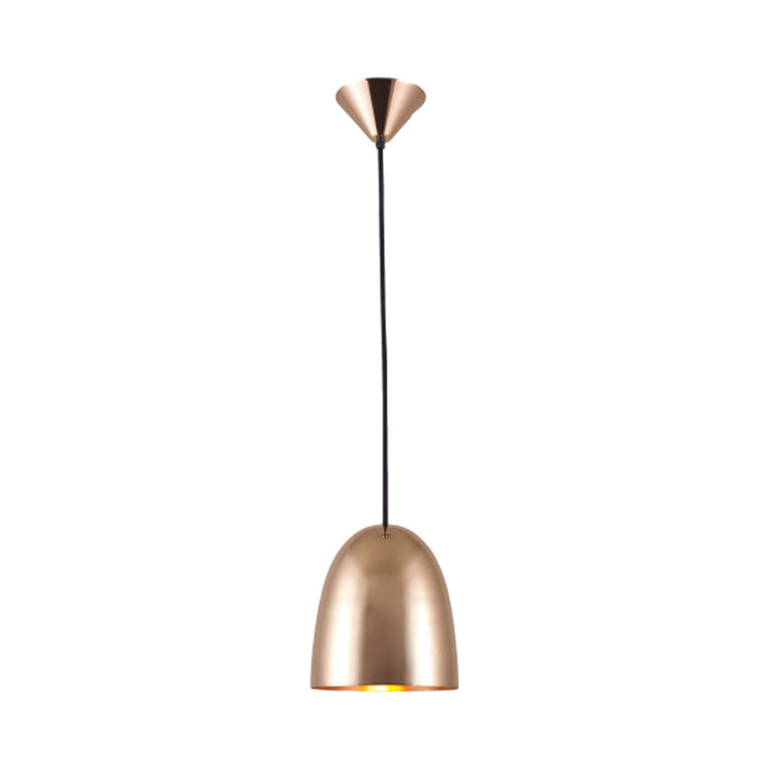 Stanley Pendant Light in Polished Copper (Small).