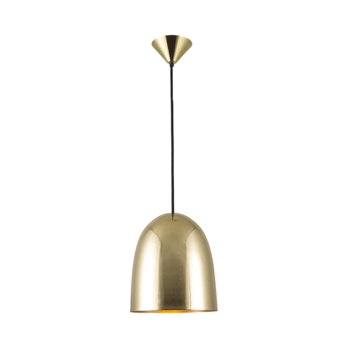 Stanley Pendant Light in Polished Brass (Medium).