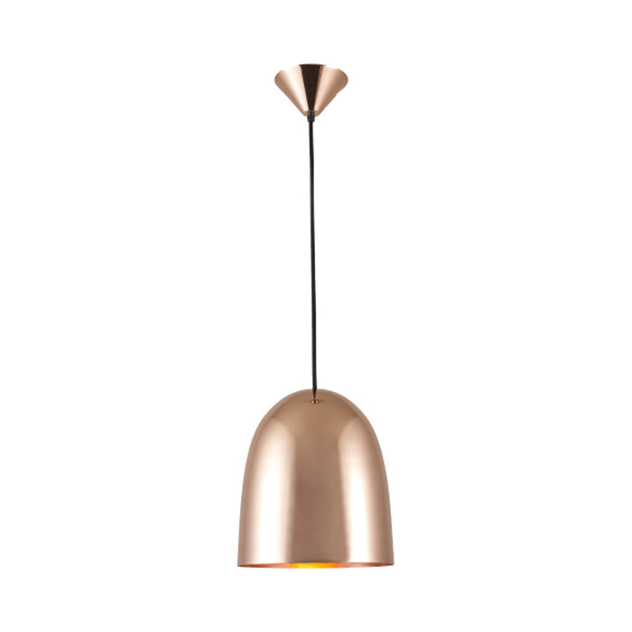 Stanley Pendant Light in Polished Copper (Medium).