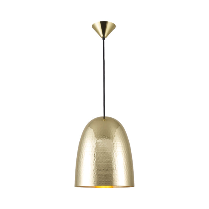 Stanley Pendant Light in Hammered Brass (Large).