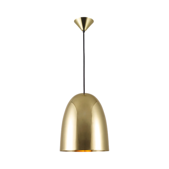 Stanley Pendant Light in Polished Brass (Large).