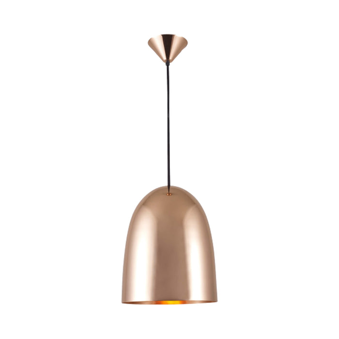 Stanley Pendant Light in Polished Copper (Large).