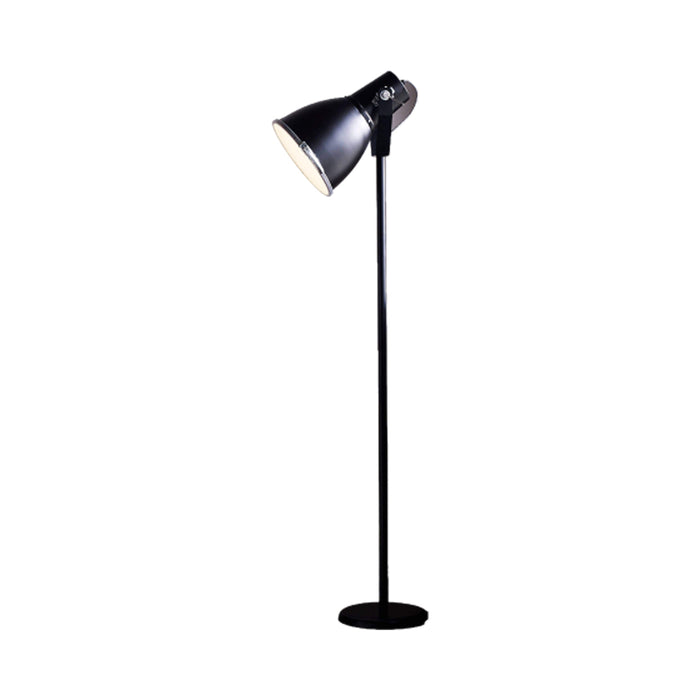 Stirrup Floor Lamp in Black.