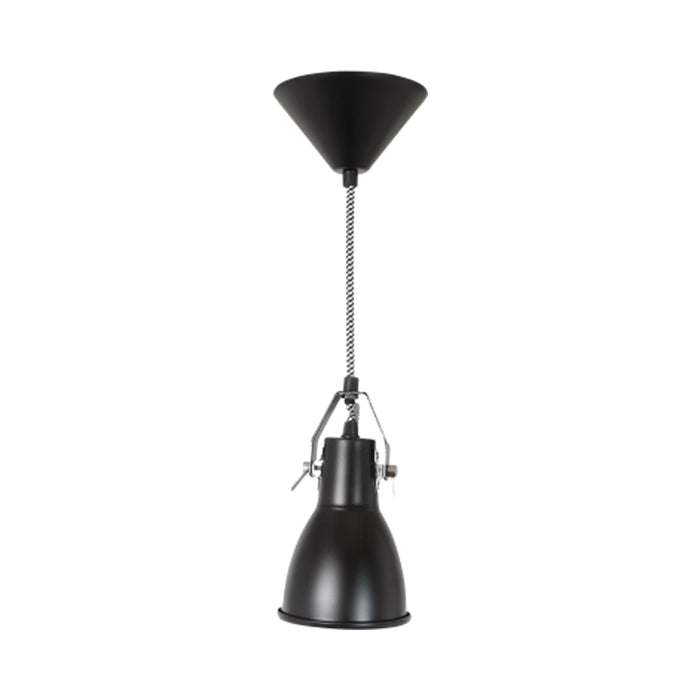 Stirrup Pendant Light in Black (Small).