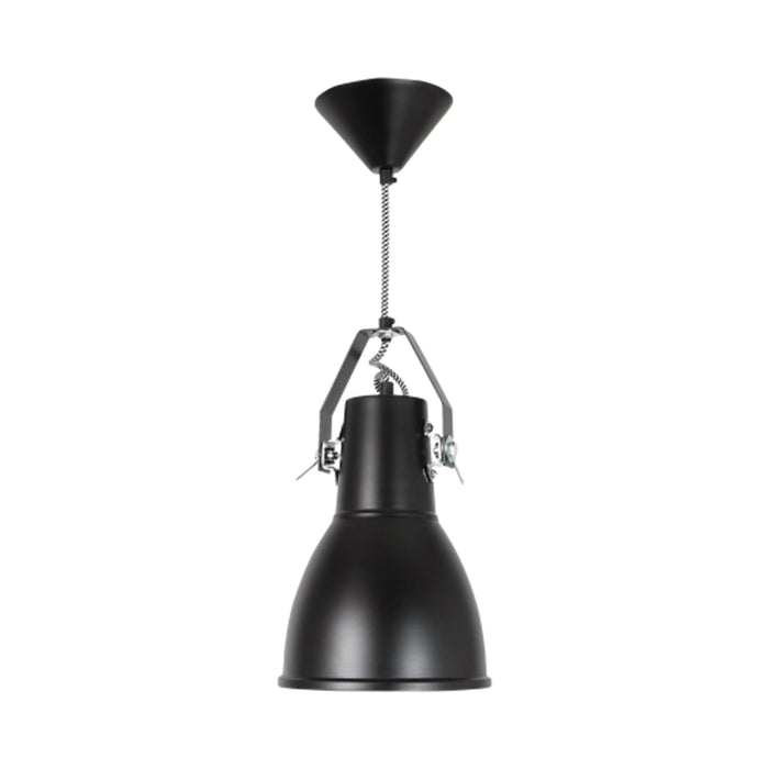 Stirrup Pendant Light in Black (Medium).