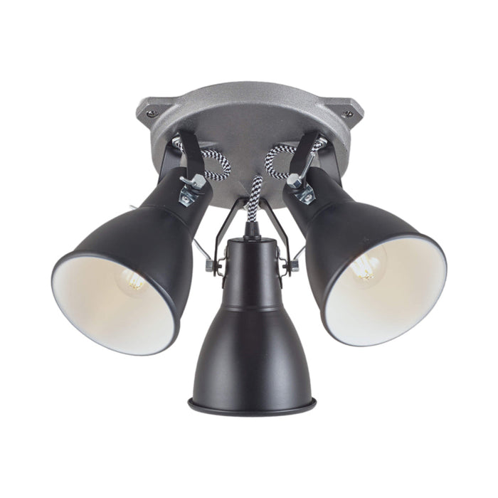 Stirrup Triple Flush Mount Ceiling Light in Black.