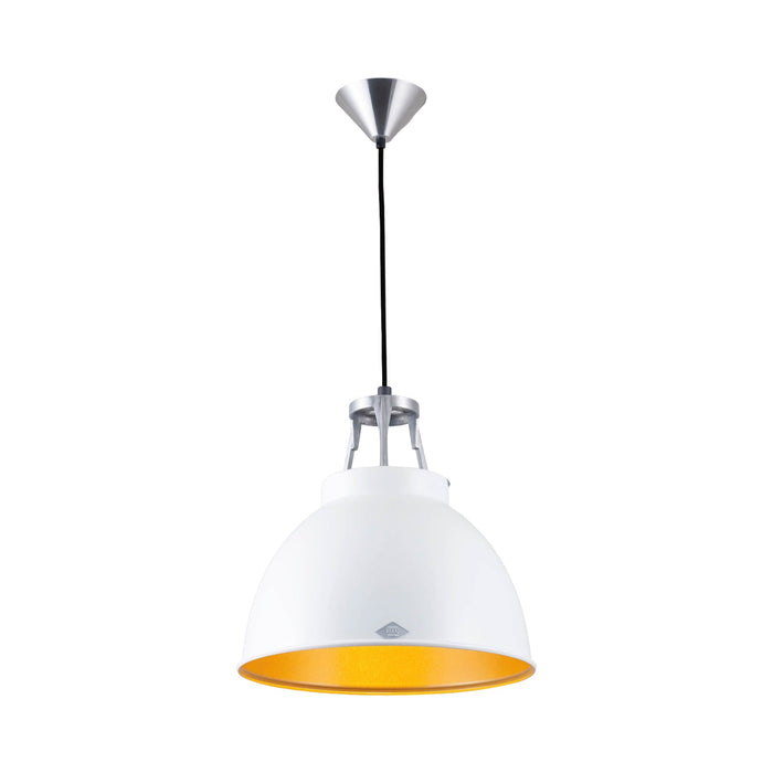 Titan Pendant Light in White/Gold (Small/No Glass).