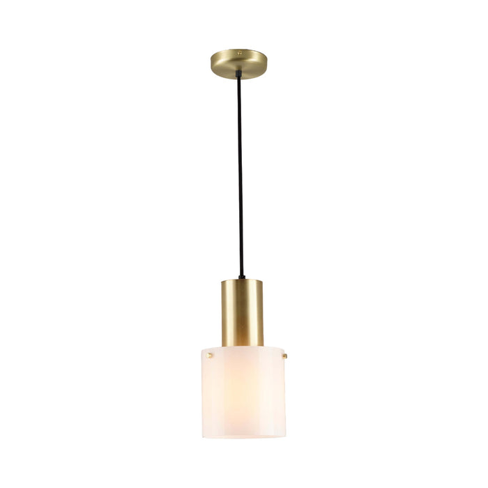 Walter Pendant Light in Opal Glass/Brass (Small).