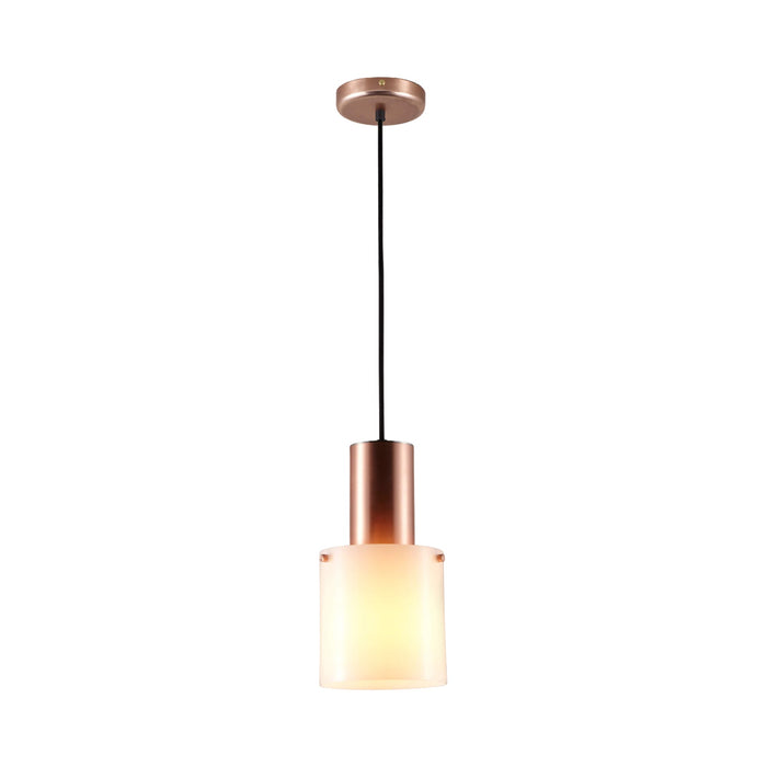 Walter Pendant Light in Opal Glass/Copper (Small).