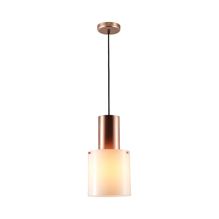 Walter Pendant Light in Opal Glass/Copper (Large).