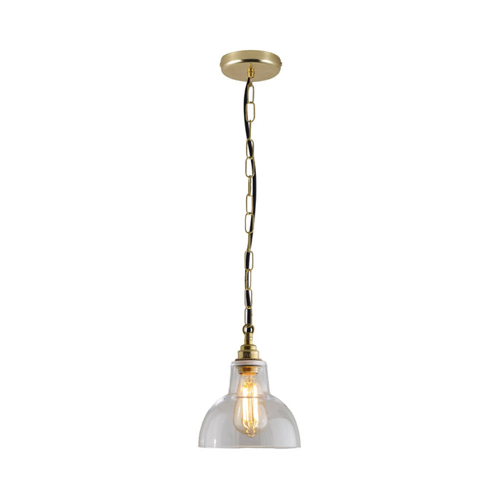 York Pendant Light in Clear/Brass (Small).