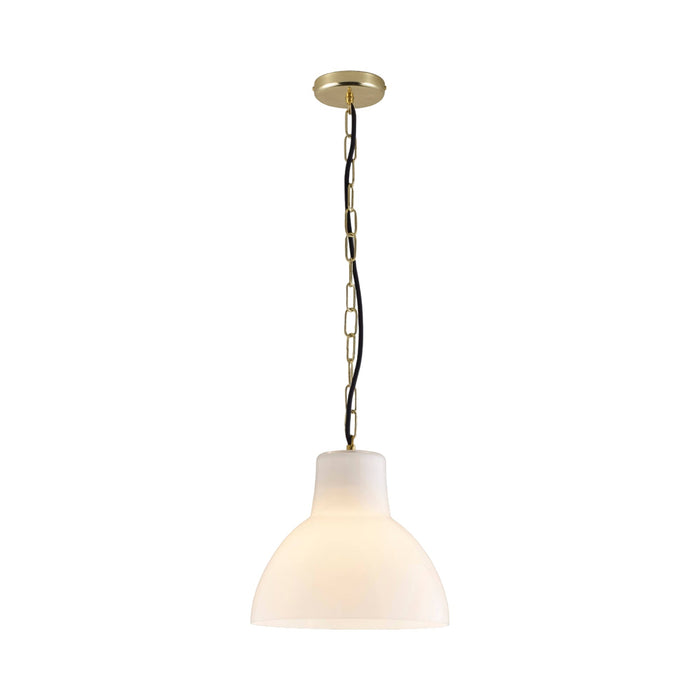 York Pendant Light in Opal/Brass (Large).