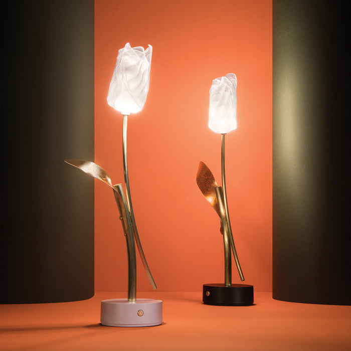 Tulip LED Table Lamp in Detail.