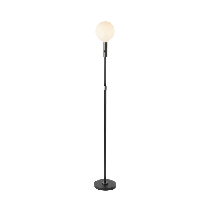 Poise Sphere V LED Adjustable Floor Lamp in Graphite.