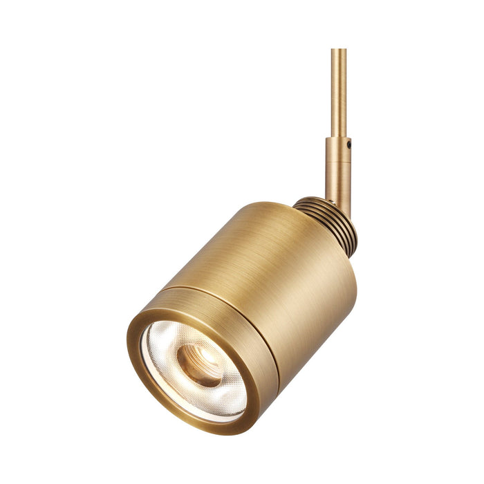 Tellium LED Low Voltage Head in Aged Brass.