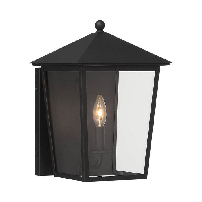 Noble Hill Outdoor Wall Light in 1-Light.