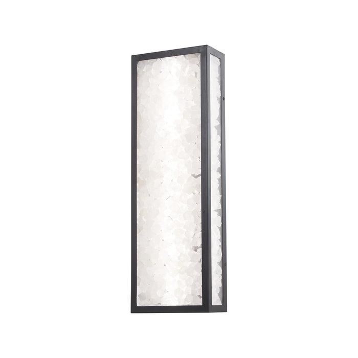 Salt Creek Vertical Outdoor LED Wall Light (Medium).