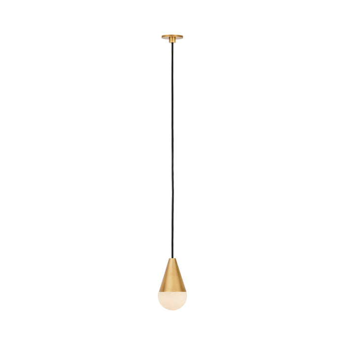 Cupola Port Alone LED Pendant Light in Hand Rubbed Antique Brass.