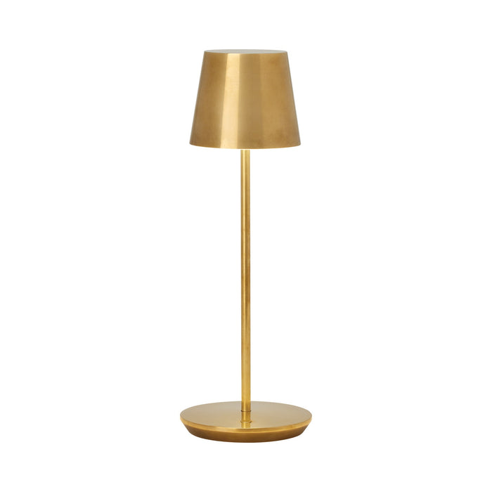 Nevis LED Table Lamp in Natural Brass (Large).