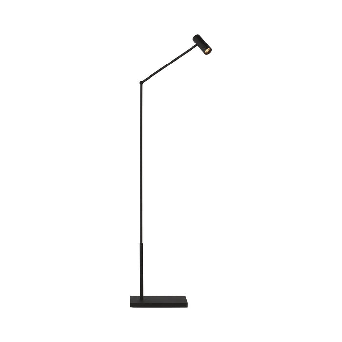 Ponte LED Floor Lamp in Nightshade Black.