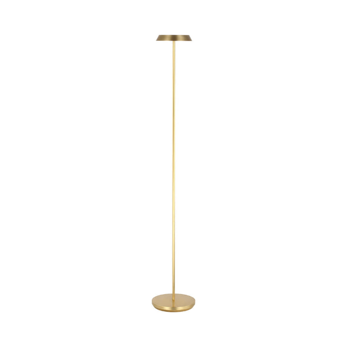 Tepa LED Floor Lamp in Hand Rubbed Antique Brass.