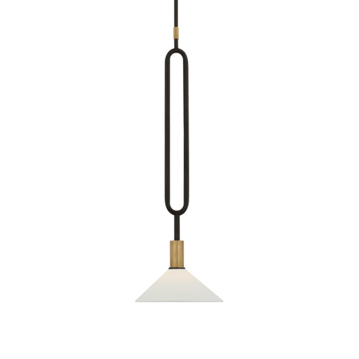 Argo Pendant Light in Detail.