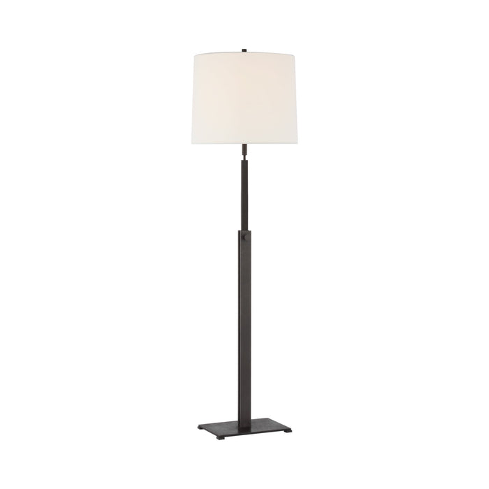 Cadmus Floor Lamp in Warm Iron.