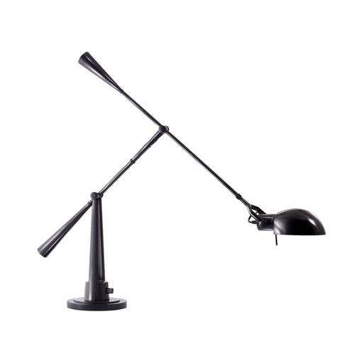 Equilibrium Table Lamp.