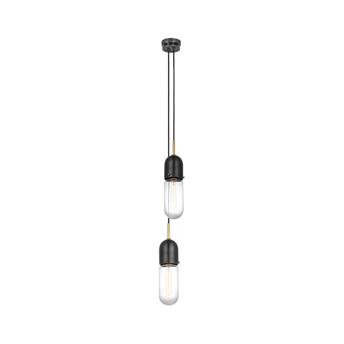 Junio Pendant Light in Bronze/Brass/Clear Glass (2-Light).