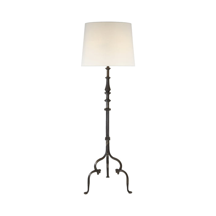 Madeleine Floor Lamp in Aged Iron.