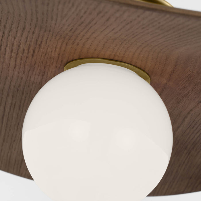 Mahalo LED Semi Flush Mount Ceiling Light in Detail.