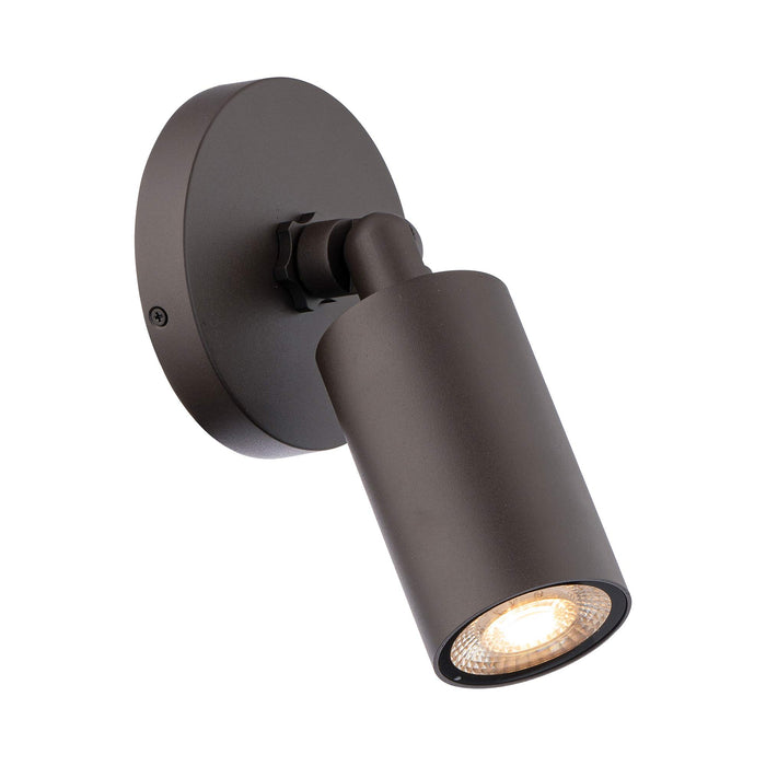 Cylinder Outdoor LED Ceiling / Wall Light in Bronze (1-Light).