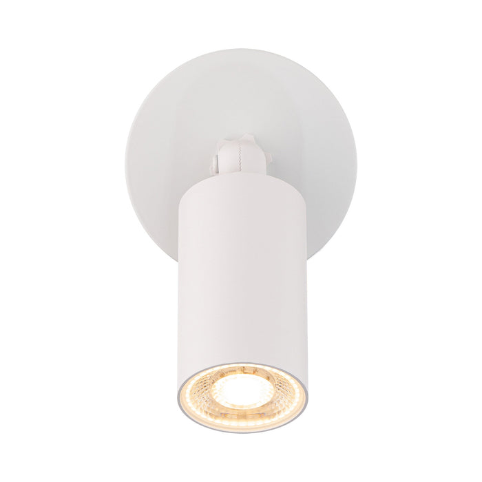 Cylinder Outdoor LED Ceiling / Wall Light in White (1-Light).