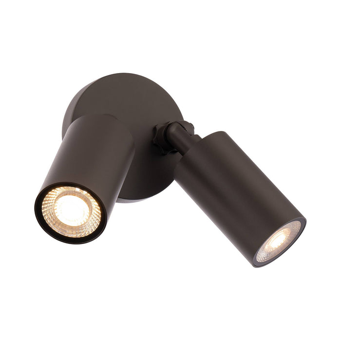 Cylinder Outdoor LED Ceiling / Wall Light in Bronze (2-Light).