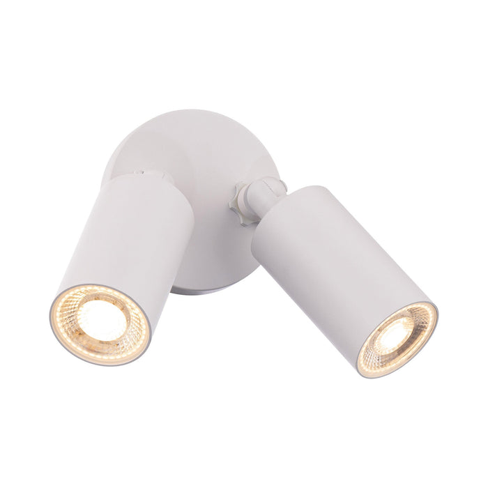 Cylinder Outdoor LED Ceiling / Wall Light in White (2-Light).