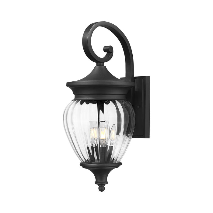 Davina Outdoor Wall Light (21.38-Inch).