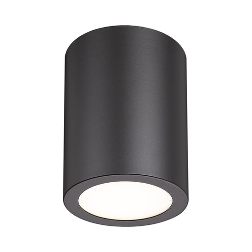 Harley Flush Mount Ceiling Light.